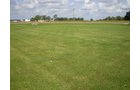 Property photo 40 - 75+/- Acres in 9 Tracts